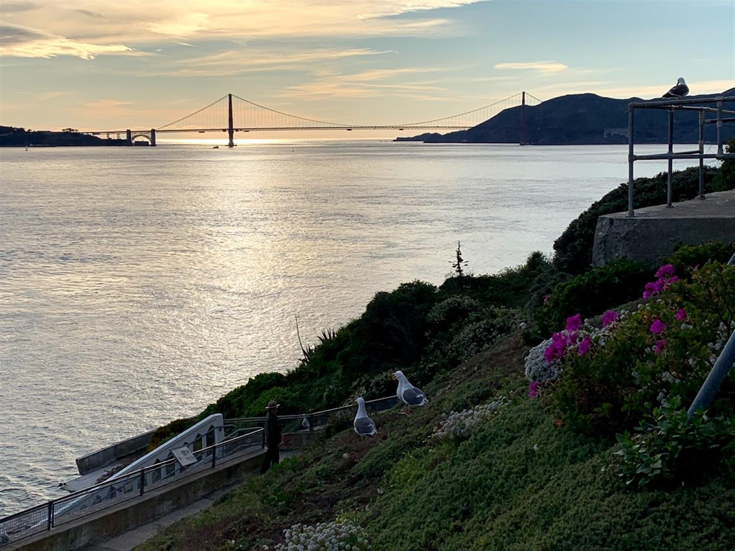 Alcatraz Island