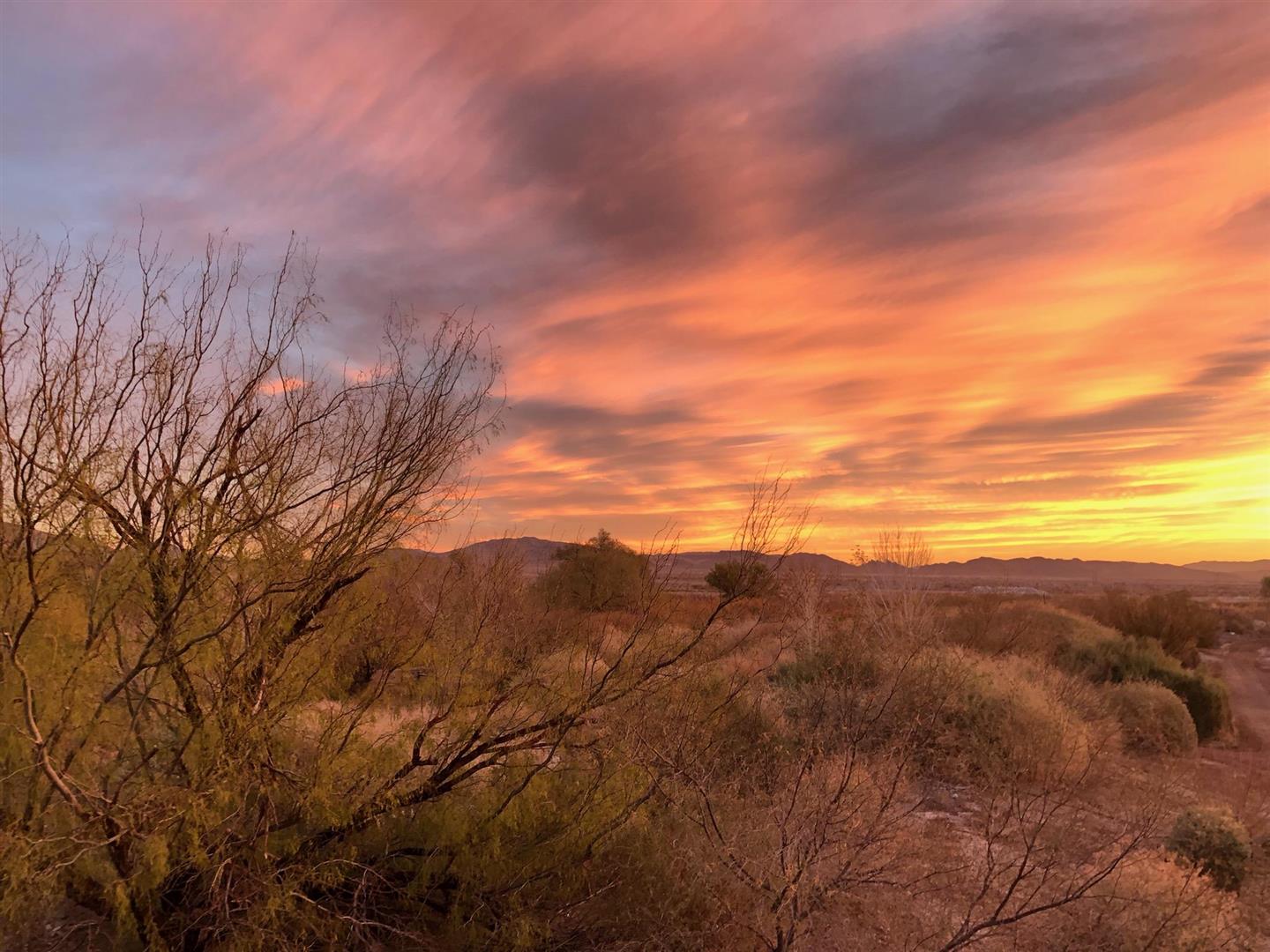 Clark County Wetlands Park