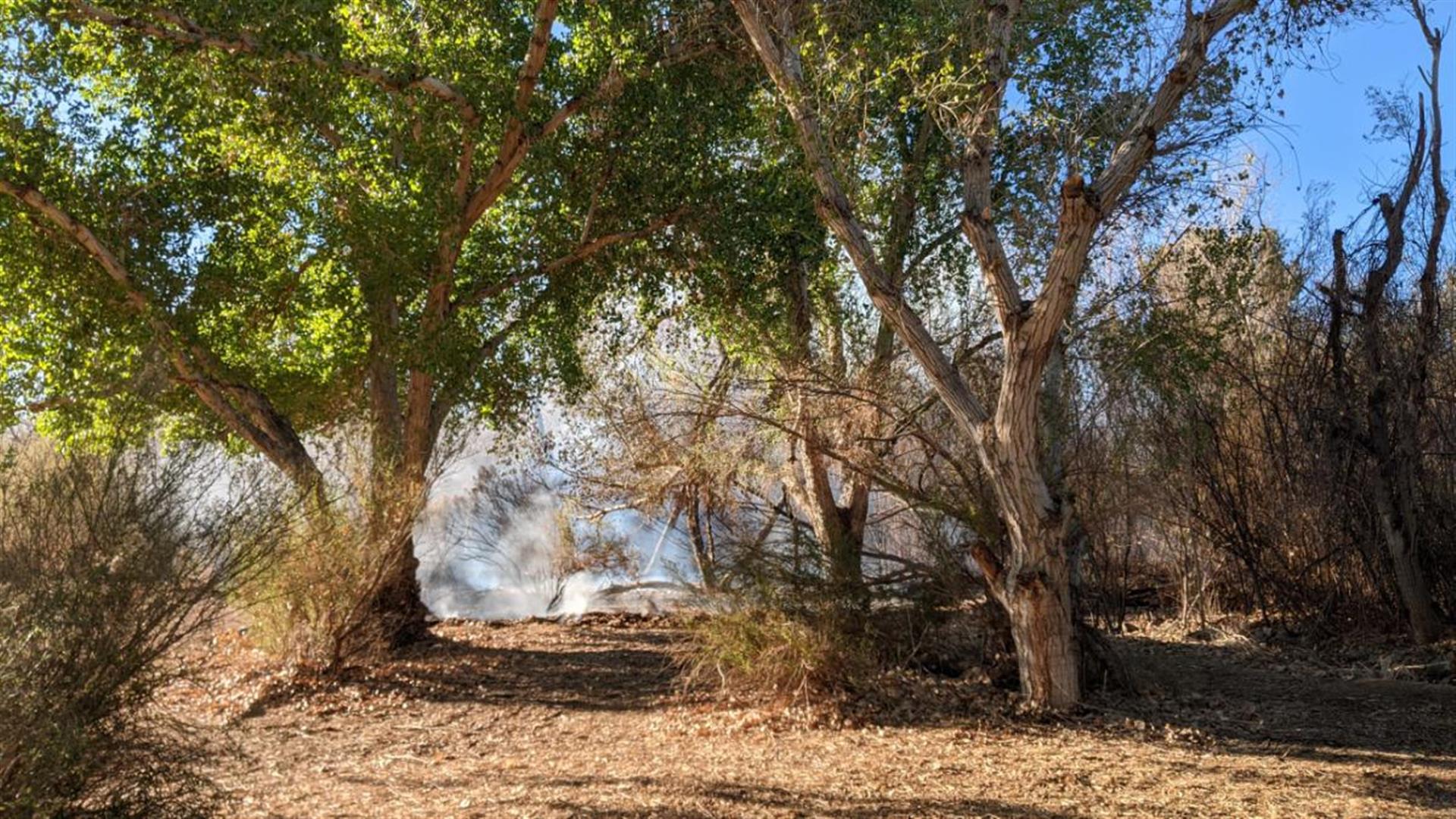 Clark County Wetlands Park