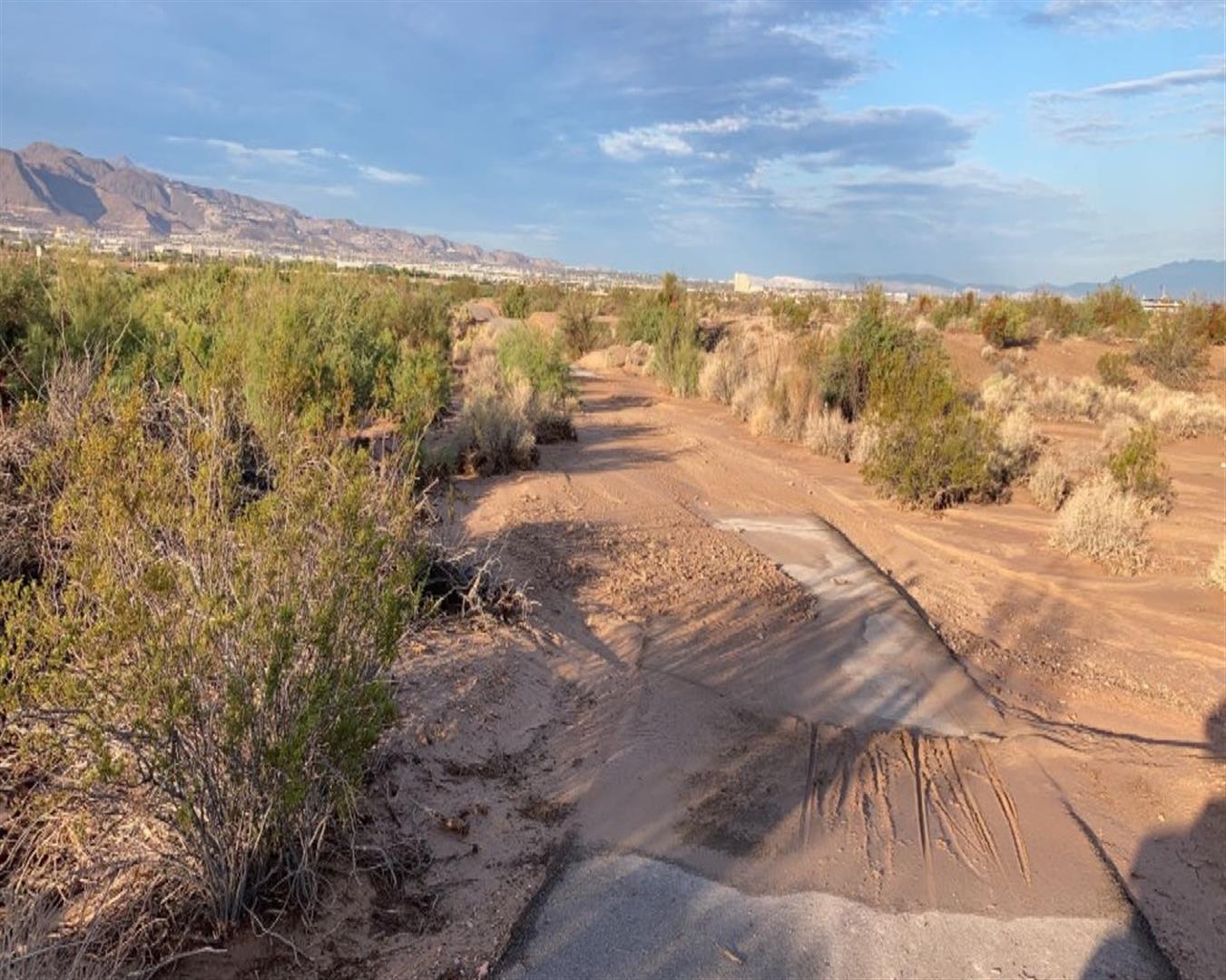 Clark County Wetlands Park