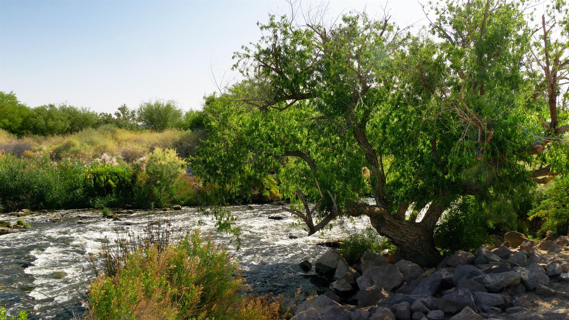 Clark County Wetlands Park